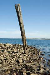 Holy Island1