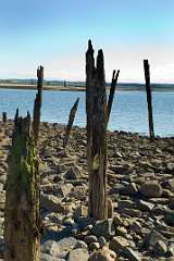 Holy Island2