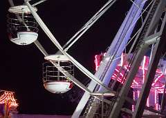 IMG_1445