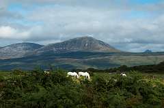 View to Arran