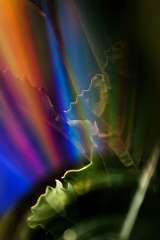 _DSC0042b